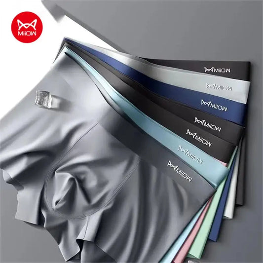 AeroSoft CloudGuard Briefs